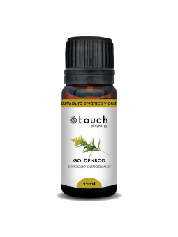 Gavilla de Oro 11 ml - Goldenrod (Solidago canadensis)