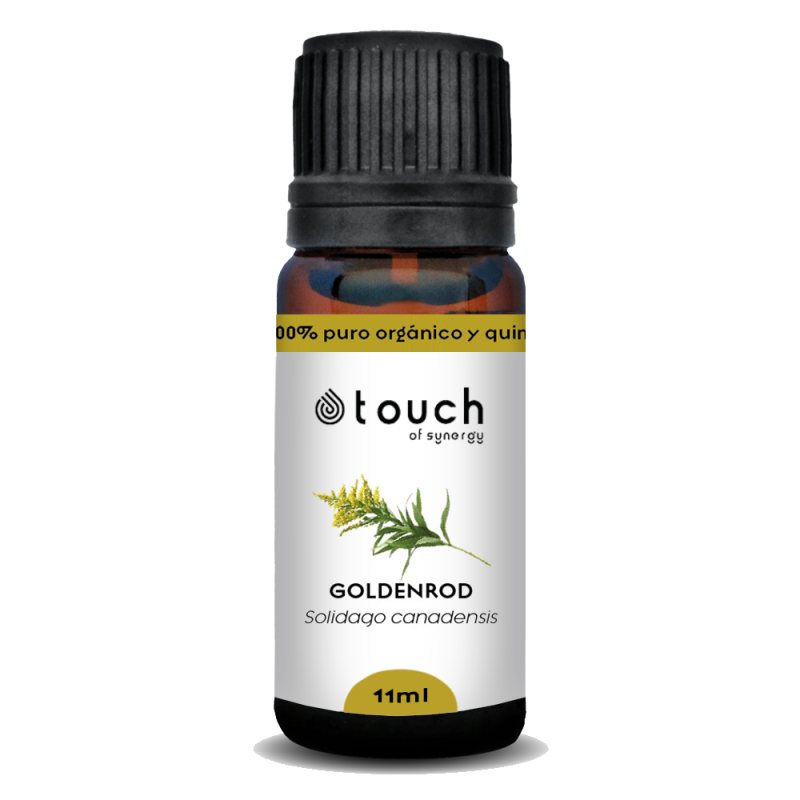 Gavilla de Oro 11 ml - Goldenrod (Solidago canadensis)