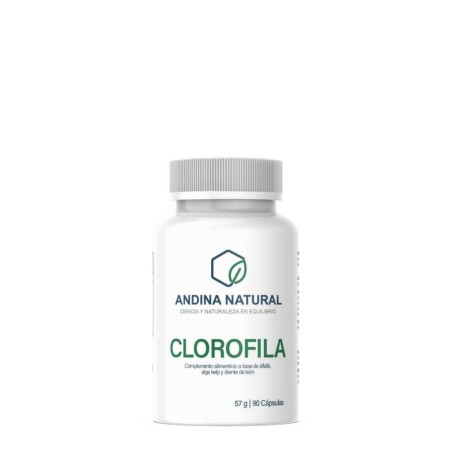 Clorofila (90 cápsulas)