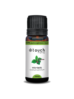 Albahaca sagrada 11 ml - Holy basil (Ocimum sanctum)