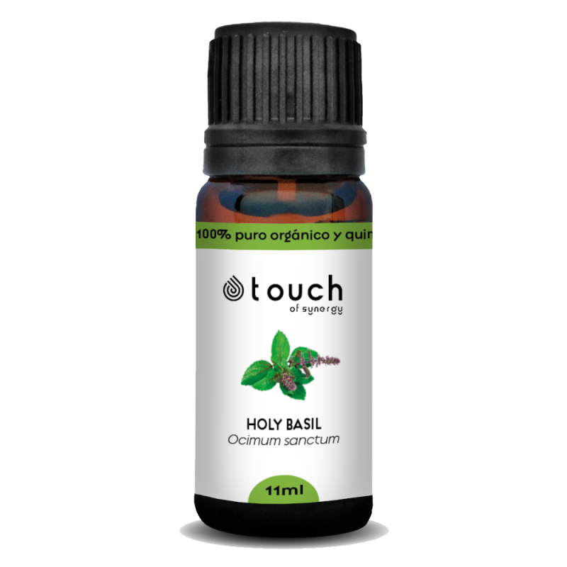 Albahaca sagrada 11 ml - Holy basil (Ocimum sanctum)