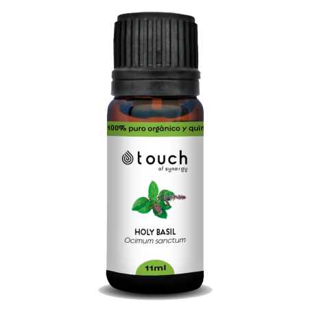 Albahaca sagrada 11 ml - Holy basil (Ocimum sanctum)