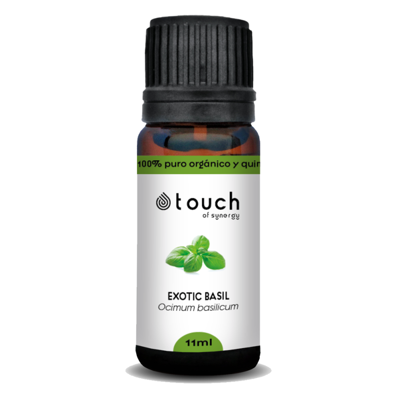 Albahaca exótica 11 ml - Basil (Ocimum basilicum)