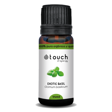 Albahaca exótica 11 ml - Basil (Ocimum basilicum)