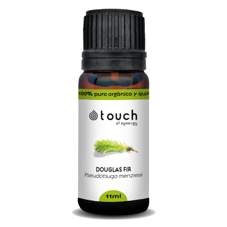 Abeto de Douglas 11 ml - Douglas Fir (Pseudotsuga menziesii)
