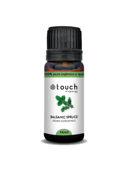 Abeto Balsámico 11 ml - Balsamic Spruce (Abies balsamea)