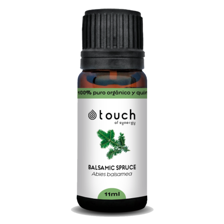 Abeto Balsámico 11 ml - Balsamic Spruce (Abies balsamea)