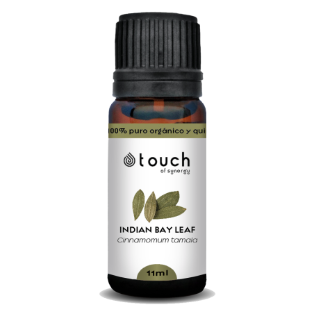 Canela Tamala 11 ml - Indian Bay Leaf (Cinnamomum tamala)