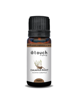 Raíz de Cálamo 11 ml - Calamus Root (Acoros calamus)