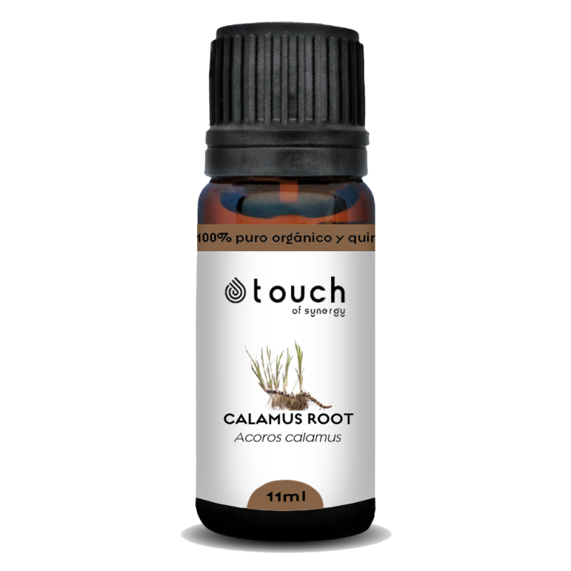 Raíz de Cálamo 11 ml - Calamus Root (Acoros calamus)