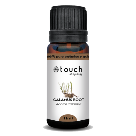 Raíz de Cálamo 11 ml - Calamus Root (Acoros calamus)