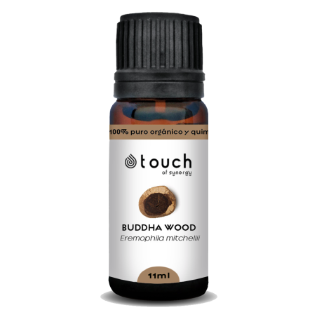 Madera de Buda 11 ml - Buddha Wood (Eremophila mitchelli)