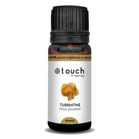 Trementina 11 ml - Turpentine (Pinus pinaster)
