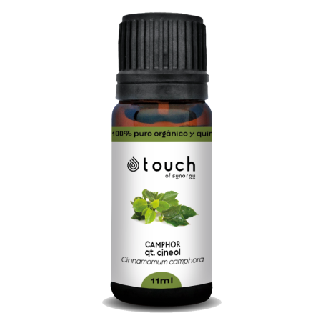 Ravintsara 11 ml - Camphor qt. cineol (Cinnamomum camphora)