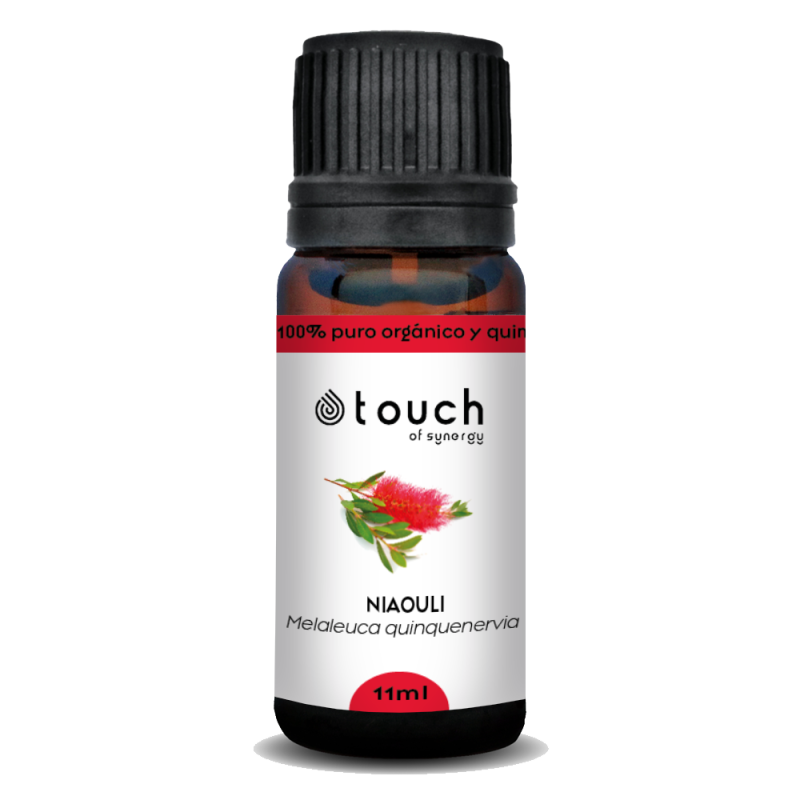 Niaulí 11 ml - Niaouli qt. cineol (Melaleuca quinquenervia)