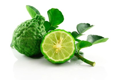 La Bergamota y sus propiedades image