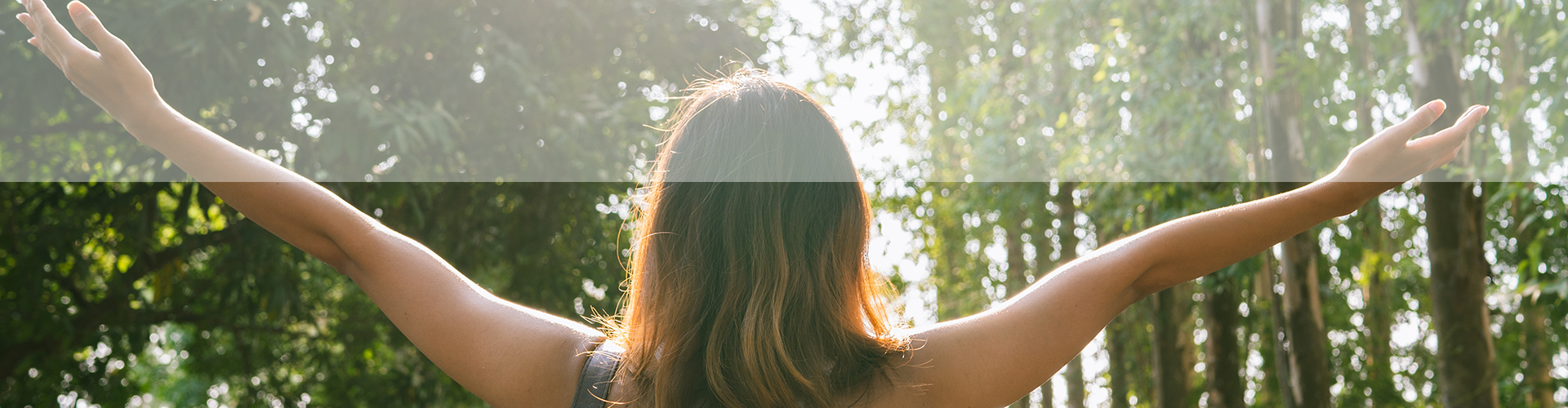 Estamos comprometidos con el cuidado de la naturaleza image