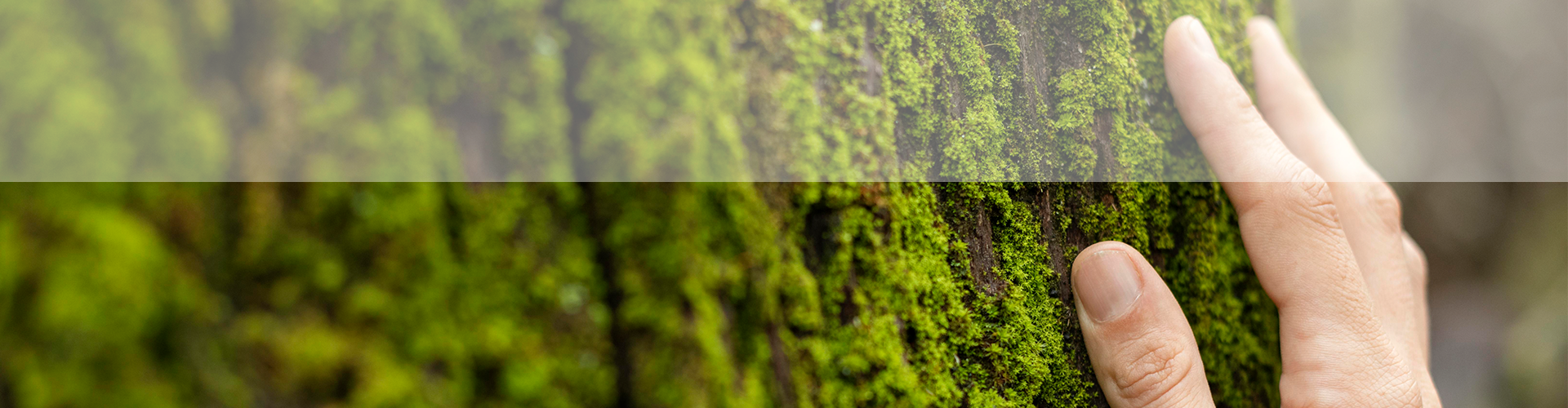 Somos una empresa de excelencia image