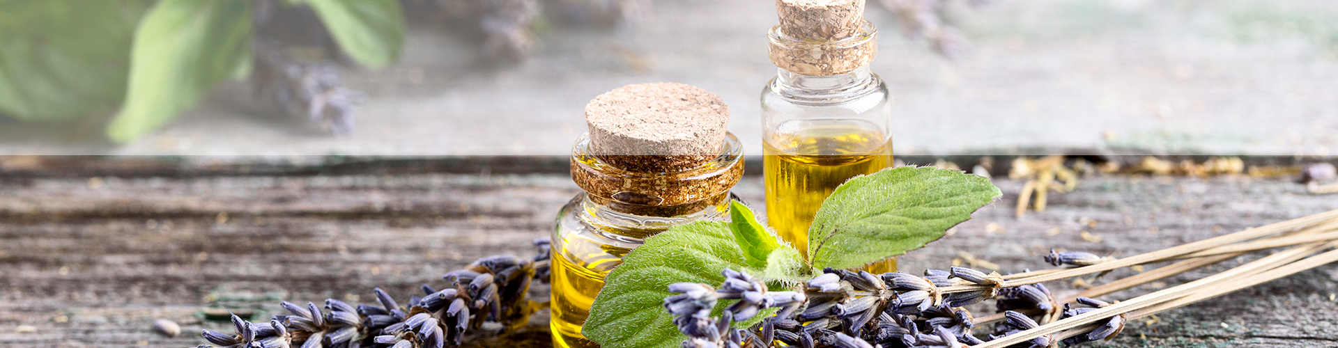 Somos líderes en la industria de productos naturales image